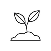 Culture-Growth-200x
